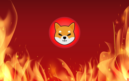 Shiba Inu burn portal